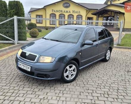 Серый Шкода Фабия, объемом двигателя 1.39 л и пробегом 299 тыс. км за 2999 $, фото 58 на Automoto.ua