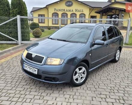 Серый Шкода Фабия, объемом двигателя 1.39 л и пробегом 299 тыс. км за 2999 $, фото 57 на Automoto.ua