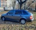 Серый Шкода Фабия, объемом двигателя 1.4 л и пробегом 247 тыс. км за 4150 $, фото 1 на Automoto.ua