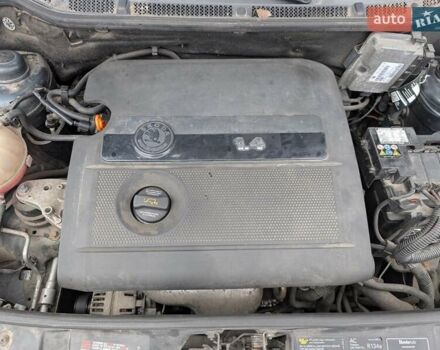 Шкода Фабия 2005 в Ровно на Automoto.ua Серый Шкода Фабия, объемом двигателя 1.39 л и пробегом 180 тыс. км за 3990 $, фото 45 на Automoto.ua