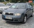Серый Шкода Фабия, объемом двигателя 1.39 л и пробегом 180 тыс. км за 4150 $, фото 3 на Automoto.ua