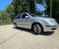Серый Шкода Фабия, объемом двигателя 1.4 л и пробегом 225 тыс. км за 4300 $, фото 1 на Automoto.ua