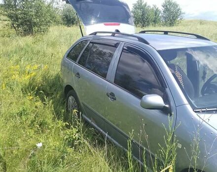 Серый Шкода Фабия, объемом двигателя 1.39 л и пробегом 241 тыс. км за 5000 $, фото 1 на Automoto.ua