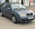 Серый Шкода Фабия, объемом двигателя 1.4 л и пробегом 266 тыс. км за 3998 $, фото 1 на Automoto.ua