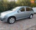 Серый Шкода Фабия, объемом двигателя 1.4 л и пробегом 188 тыс. км за 4999 $, фото 79 на Automoto.ua