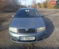 Шкода Фабия 2006 в Полтаве на Automoto.ua Серый Шкода Фабия, объемом двигателя 1.39 л и пробегом 218 тыс. км за 5100 $, фото 1 на Automoto.ua