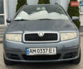 Серый Шкода Фабия, объемом двигателя 1.4 л и пробегом 266 тыс. км за 3998 $, фото 1 на Automoto.ua