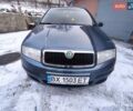 Серый Шкода Фабия, объемом двигателя 1.39 л и пробегом 287 тыс. км за 4500 $, фото 1 на Automoto.ua