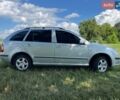 Серый Шкода Фабия, объемом двигателя 1.4 л и пробегом 210 тыс. км за 5200 $, фото 1 на Automoto.ua