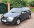 Сірий Шкода Фабія, об'ємом двигуна 1.39 л та пробігом 198 тис. км за 4999 $, фото 4 на Automoto.ua