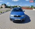 Серый Шкода Фабия, объемом двигателя 1.39 л и пробегом 261 тыс. км за 4300 $, фото 1 на Automoto.ua