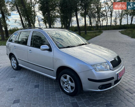 Серый Шкода Фабия, объемом двигателя 1.4 л и пробегом 216 тыс. км за 5899 $, фото 10 на Automoto.ua