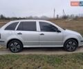 Серый Шкода Фабия, объемом двигателя 1.2 л и пробегом 220 тыс. км за 3999 $, фото 2 на Automoto.ua