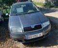 Сірий Шкода Фабія, об'ємом двигуна 1.4 л та пробігом 189 тис. км за 4600 $, фото 1 на Automoto.ua