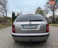 Серый Шкода Фабия, объемом двигателя 1.42 л и пробегом 200 тыс. км за 4400 $, фото 4 на Automoto.ua