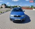 Серый Шкода Фабия, объемом двигателя 1.39 л и пробегом 261 тыс. км за 5000 $, фото 1 на Automoto.ua