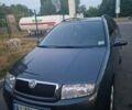 Сірий Шкода Фабія, об'ємом двигуна 1.39 л та пробігом 254 тис. км за 4800 $, фото 1 на Automoto.ua