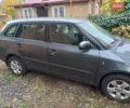 Сірий Шкода Фабія, об'ємом двигуна 1.39 л та пробігом 250 тис. км за 5300 $, фото 5 на Automoto.ua