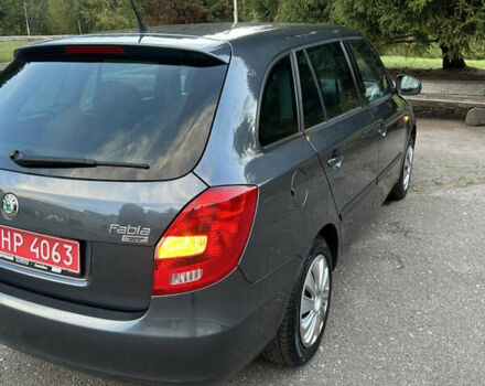 Шкода Фабия 2009 в Золотоноше на Automoto.ua Серый Шкода Фабия, объемом двигателя 1.39 л и пробегом 225 тыс. км за 6150 $, фото 19 на Automoto.ua
