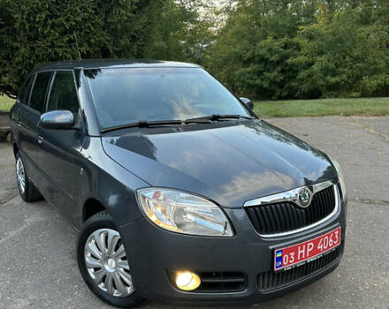 Шкода Фабия 2009 в Золотоноше на Automoto.ua Серый Шкода Фабия, объемом двигателя 1.39 л и пробегом 225 тыс. км за 6150 $, фото 11 на Automoto.ua