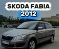 Серый Шкода Фабия, объемом двигателя 1.4 л и пробегом 183 тыс. км за 6600 $, фото 1 на Automoto.ua
