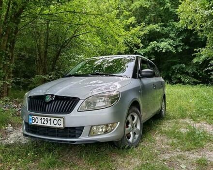 Серый Шкода Фабия, объемом двигателя 1.6 л и пробегом 254 тыс. км за 6200 $, фото 4 на Automoto.ua