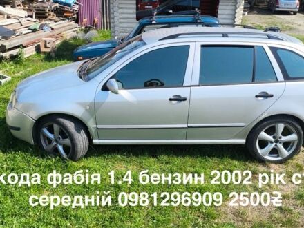Серый Шкода Фабия, объемом двигателя 0 л и пробегом 300 тыс. км за 2500 $, фото 1 на Automoto.ua