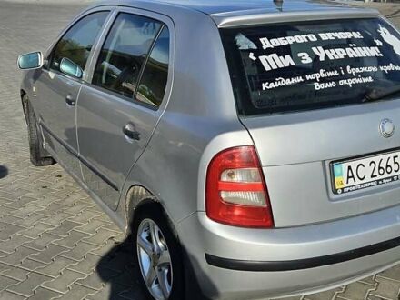 Шкода Фабія 2002 у Луцьку на Automoto.ua Сірий Шкода Фабія, об'ємом двигуна 1.9 л та пробігом 500 тис. км за 3491 $, фото 1 на Automoto.ua