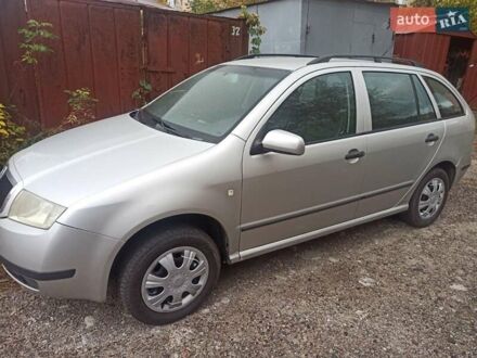 Серый Шкода Фабия, объемом двигателя 1.4 л и пробегом 220 тыс. км за 4200 $, фото 1 на Automoto.ua