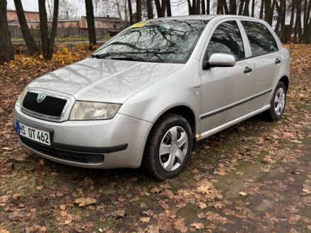 Серый Шкода Фабия, объемом двигателя 1.9 л и пробегом 280 тыс. км за 2500 $, фото 1 на Automoto.ua