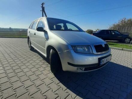 Шкода Фабия 2004 в Шумск на Automoto.ua Серый Шкода Фабия, объемом двигателя 1.39 л и пробегом 300 тыс. км за 2900 $, фото 1 на Automoto.ua