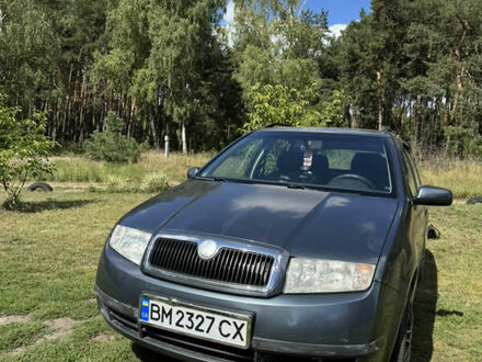 Шкода Фабия 2004 в Ахтырке на Automoto.ua Серый Шкода Фабия, объемом двигателя 1.39 л и пробегом 247 тыс. км за 4000 $, фото 1 на Automoto.ua