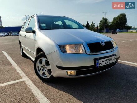 Шкода Фабия 2004 в Житомире на Automoto.ua Серый Шкода Фабия, объемом двигателя 1.39 л и пробегом 172 тыс. км за 4800 $, фото 1 на Automoto.ua