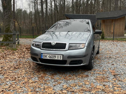 Серый Шкода Фабия, объемом двигателя 1.2 л и пробегом 91 тыс. км за 4300 $, фото 1 на Automoto.ua
