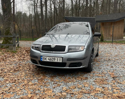 Серый Шкода Фабия, объемом двигателя 1.2 л и пробегом 91 тыс. км за 4300 $, фото 1 на Automoto.ua