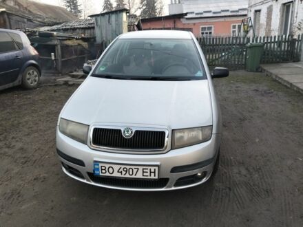 Серый Шкода Фабия, объемом двигателя 1.4 л и пробегом 307 тыс. км за 3700 $, фото 1 на Automoto.ua