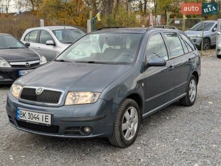 Серый Шкода Фабия, объемом двигателя 1.39 л и пробегом 180 тыс. км за 3990 $, фото 1 на Automoto.ua