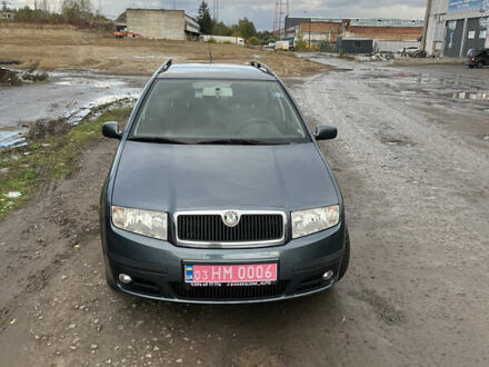 Сірий Шкода Фабія, об'ємом двигуна 1.4 л та пробігом 160 тис. км за 4500 $, фото 1 на Automoto.ua