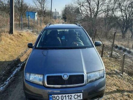 Серый Шкода Фабия, объемом двигателя 1.39 л и пробегом 218 тыс. км за 4250 $, фото 1 на Automoto.ua