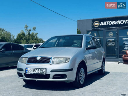 Шкода Фабия 2006 в Тернополе на Automoto.ua Серый Шкода Фабия, объемом двигателя 1.2 л и пробегом 200 тыс. км за 2999 $, фото 1 на Automoto.ua