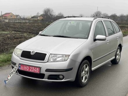 Серый Шкода Фабия, объемом двигателя 1.4 л и пробегом 226 тыс. км за 4550 $, фото 1 на Automoto.ua