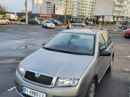 Серый Шкода Фабия, объемом двигателя 1.2 л и пробегом 95 тыс. км за 5350 $, фото 1 на Automoto.ua