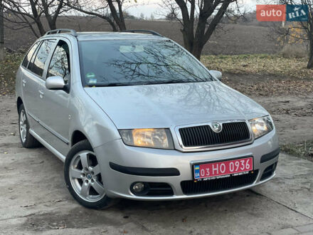 Серый Шкода Фабия, объемом двигателя 1.4 л и пробегом 231 тыс. км за 4500 $, фото 1 на Automoto.ua