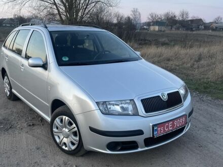 Шкода Фабия 2007 в Черкассах на Automoto.ua Серый Шкода Фабия, объемом двигателя 1.4 л и пробегом 120 тыс. км за 5499 $, фото 1 на Automoto.ua