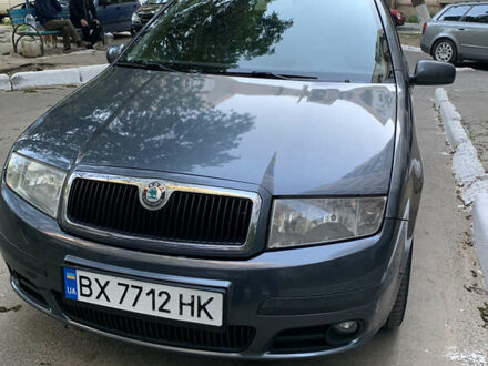 Шкода Фабия 2007 в Николаеве на Automoto.ua Серый Шкода Фабия, объемом двигателя 1.4 л и пробегом 248 тыс. км за 5200 $, фото 1 на Automoto.ua