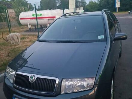 Сірий Шкода Фабія, об'ємом двигуна 1.39 л та пробігом 254 тис. км за 4800 $, фото 1 на Automoto.ua