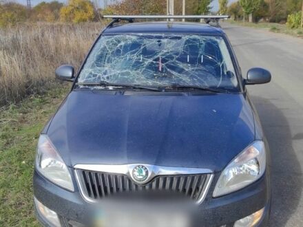 Шкода Фабия 2010 в Краматорске на Automoto.ua Серый Шкода Фабия, объемом двигателя 1.4 л и пробегом 86 тыс. км за 4000 $, фото 1 на Automoto.ua