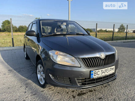 Шкода Фабія 2010 у Львові на Automoto.ua Сірий Шкода Фабія, об'ємом двигуна 1.2 л та пробігом 222 тис. км за 4999 $, фото 1 на Automoto.ua