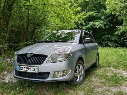 Серый Шкода Фабия, объемом двигателя 1.6 л и пробегом 254 тыс. км за 6200 $, фото 1 на Automoto.ua