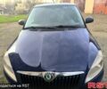 Синий Шкода Фабия, объемом двигателя 16 л и пробегом 273 тыс. км за 5800 $, фото 12 на Automoto.ua